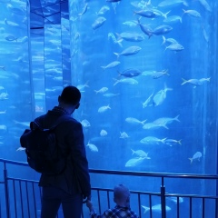 Алексей Ежов, 22.01.1992, Санкт-Петербург