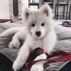 Настюха Макаращенко, 10.11, Yangon