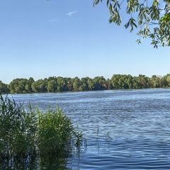 Екатерина Ватоновская, Москва
