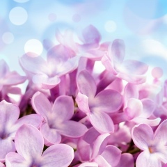 Гульбира Акатбайкызы, 24.04.1991, Актау