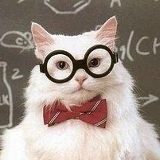 Илья Плюшкин, 16.05, Санкт-Петербург