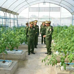 Capt-Shan Shan, 26.04.1993