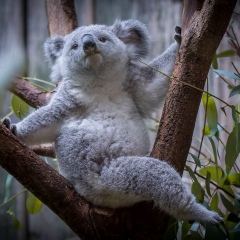 Алина Серёгина, 13.10.1988, Рязань