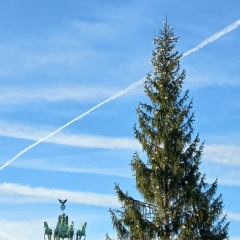 Екатерина Катц, 17.05