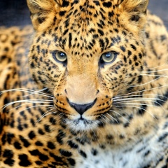 Aigul Saparova, 22.03.1995, Кентау