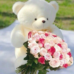 Гульмира Султан, Алматы