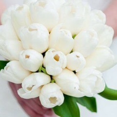 Элиза Шатаева, 12.03, Москва