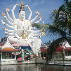 Sergey Pak, 01.03, Гуляй Поле