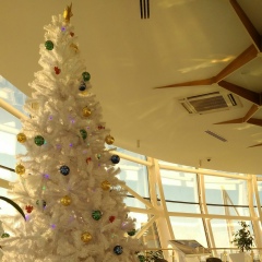 Нуржан Шайман, 02.08, Алматы