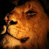 Юрий Иванов, 02.08