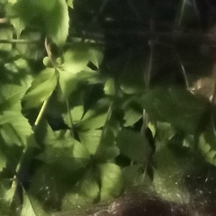 Елена Байкова, 29.08, Саратов