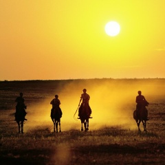Санал Ходжигоров, 29.07.1989, Москва
