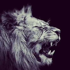 Анар Алієв, 06.04, Белая Церковь