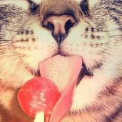 Лида Крыжановская, 03.08, Москва