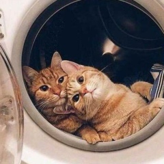 Мария Мария, Санкт-Петербург