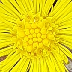 Дмитрий Dosmaev, 01.01, Санкт-Петербург