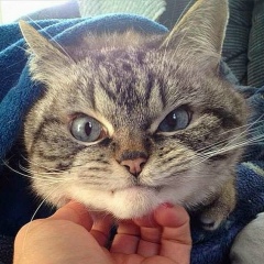 Мария Миронова, Москва