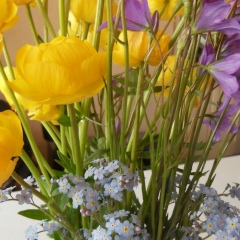 Евгения Максименко, 31.01.1984, Челябинск