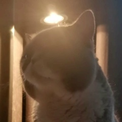 Александр Горбатов, 27.10.1983, Мончегорск