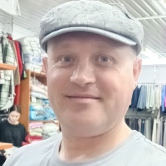 Сергей Лещенко, Железинка