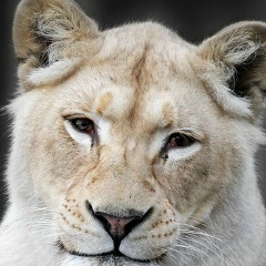 Наталья Агеева, 29.07, Ярославль