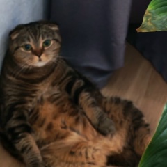 Марта Розыева, 06.03.1989, Щелково