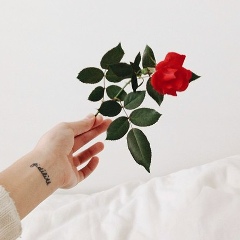 Карина Албегова, 14.02, Владикавказ