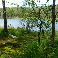 Евгений Пугачев, 07.04.1979, Санкт-Петербург