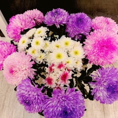 Татьяна Герус -Салаева, 17.12, Самара