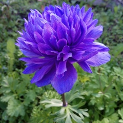 Наталья Щеглова, 03.05.1987, Санкт-Петербург