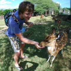 Анатолий , 10.01, Москва