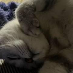 Crazy Moon, 02.06, Алматы