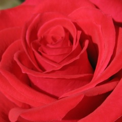 Жанна Маратова, 26.07