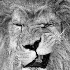 Андрей Леонов, 28.07.1993, Краснотурьинск