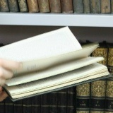 Алексей Голубев, 11.04.1994, Санкт-Петербург