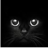 Игорь Филиппов, 04.10.1971, Санкт-Петербург