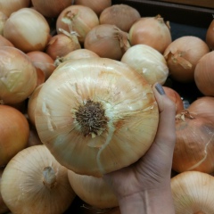 Fidan Kerimli, 05.07