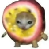 Аслам Русольдино, 19.11, Минск