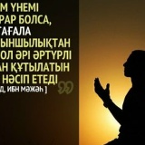 Nursultan Chekabaev, 15.09.1992