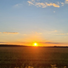 Аня Ши, Воронеж