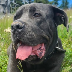 Janna Meller, 18.12, Vancouver