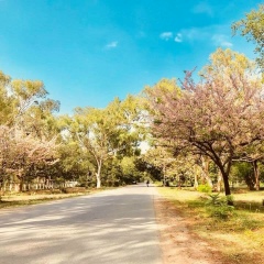 Aung-Swe Moe, 12.05.1986