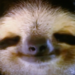 Антон Коваленко, 27.02, Александров