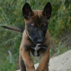 Евгений Валерьевич, 23.11