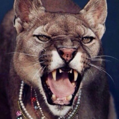 Diana Jones, 27.03.1992, Kuala Lumpur