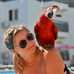 Вика Виктория, 01.03, Москва