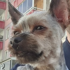 Дмитрий Понурко, 21.02, Красноярск