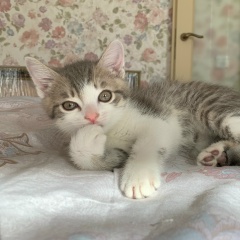 Екатерина Прокофьева, 28.08.1984, Москва