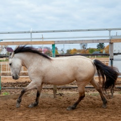 Катерина Голикова, 23.04.1991, Санкт-Петербург
