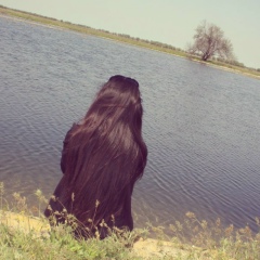 Айзанат Башантавова, 28.11, Терекли-Мектеб